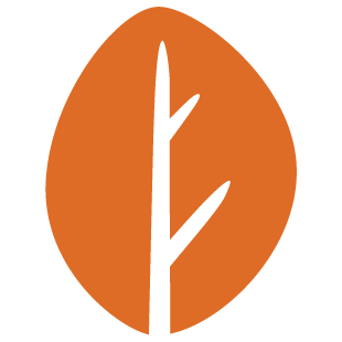 playconnectclub.com favicon